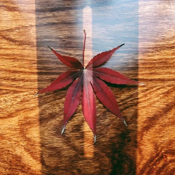 汉唐家具背后的材质美学插图7 汉唐家具背后的材质美学插图7